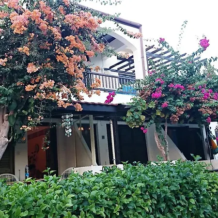 아파트 Ibiscus Holiday